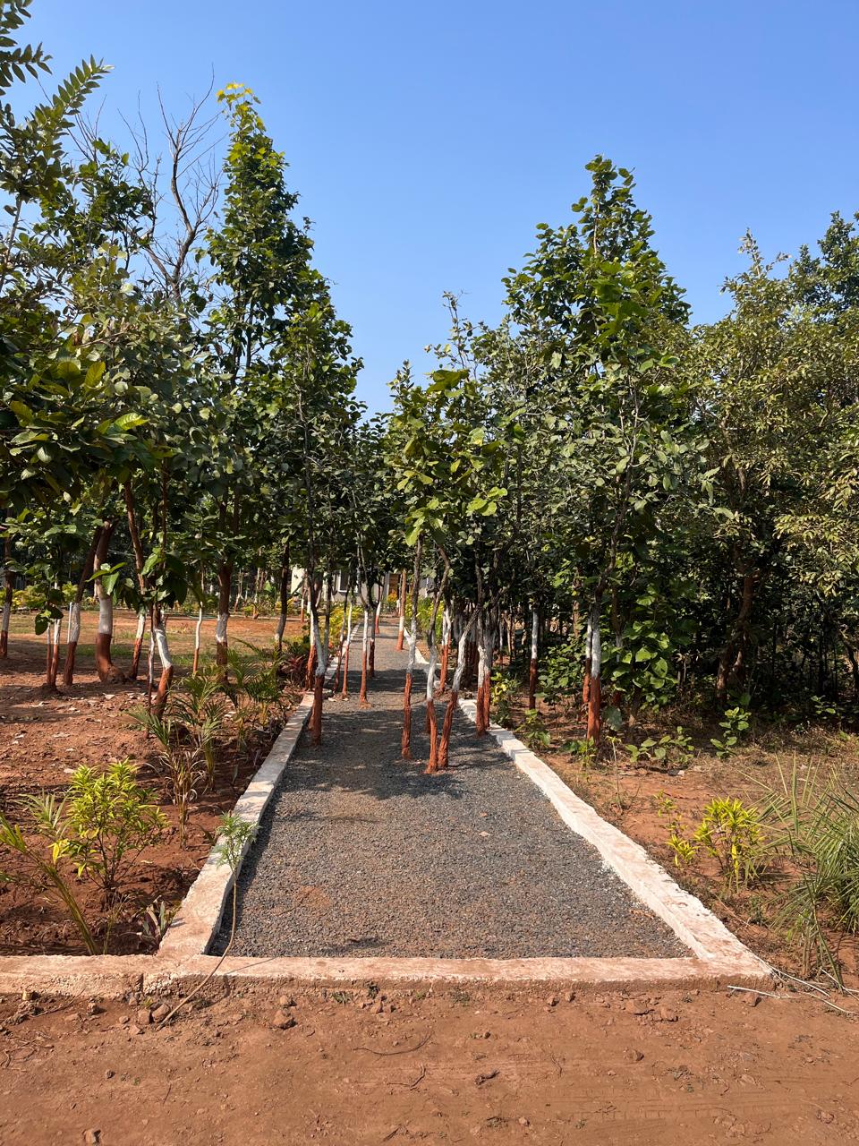 Luxury resort pool with palm trees at sunset